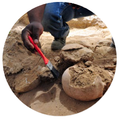 ARQUEOLOGÍA Y FORENSE
